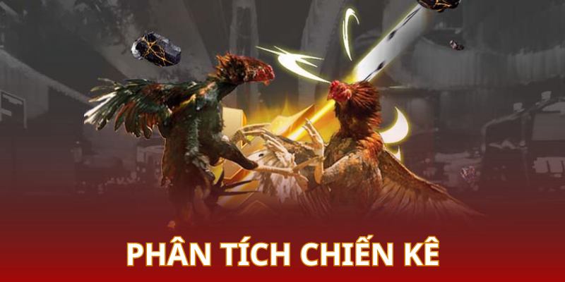 Người tham gia cần phân tích cặn kẽ thông tin chiến kê