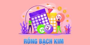 Rồng Bạch Kim 247