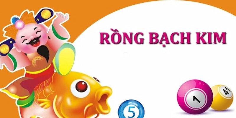 Chuyên mục Rồng Bạch Kim 247 được nhiều người ưa thích và săn đón